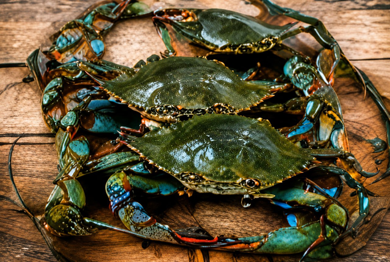Blue Crab Claws